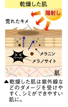 悠香茶のしずく石鹸【シミ対策効果】実証報告！